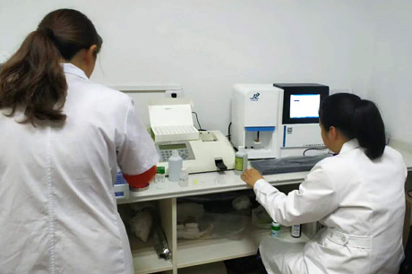 北京新九陸生物介紹哪些食物能清熱祛濕？